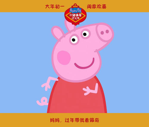 斯洛伐克地址证明作假